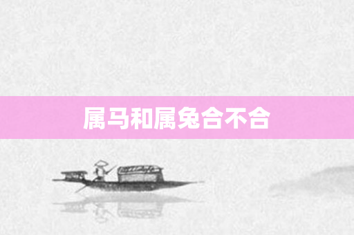 属马和属兔合不合