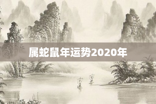 属蛇鼠年运势2020年