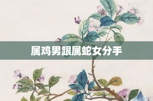 属鸡男跟属蛇女分手