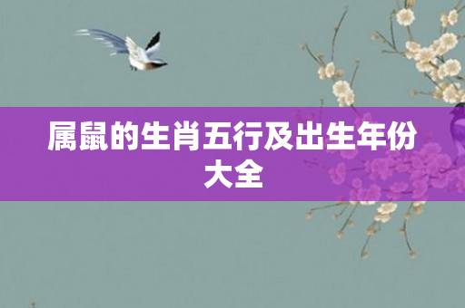 属鼠的生肖五行及出生年份大全