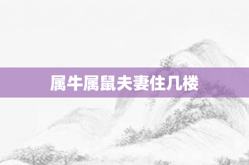 属牛属鼠夫妻住几楼