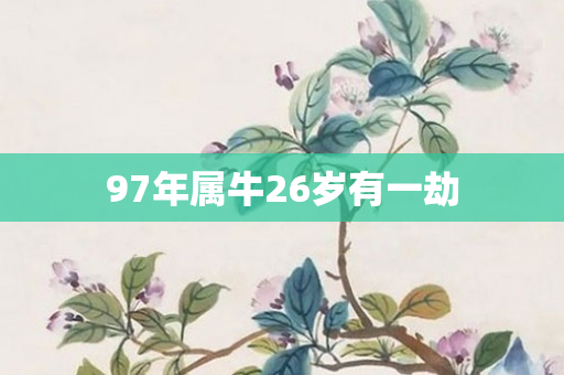 97年属牛26岁有一劫