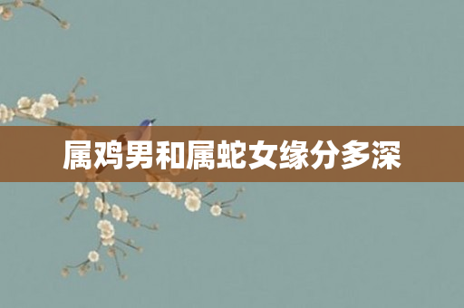 属鸡男和属蛇女缘分多深