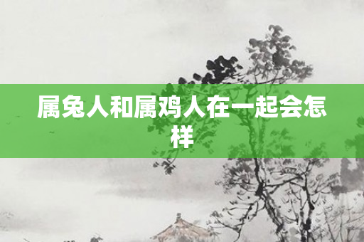 属兔人和属鸡人在一起会怎样