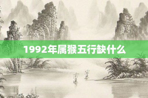 1992年属猴五行缺什么