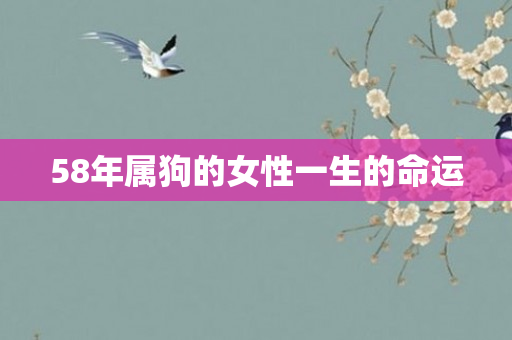 58年属狗的女性一生的命运