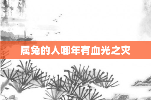 属兔的人哪年有血光之灾