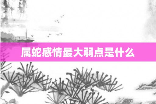 属蛇感情更大弱点是什么