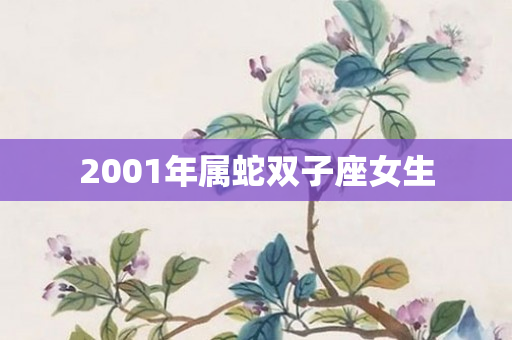 2001年属蛇双子座女生