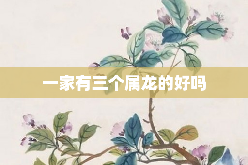 一家有三个属龙的好吗