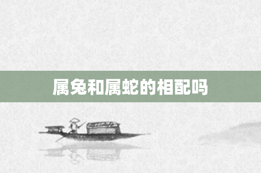 属兔和属蛇的相配吗