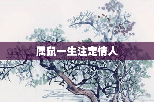 属鼠一生注定情人