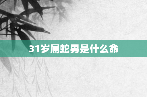 31岁属蛇男是什么命