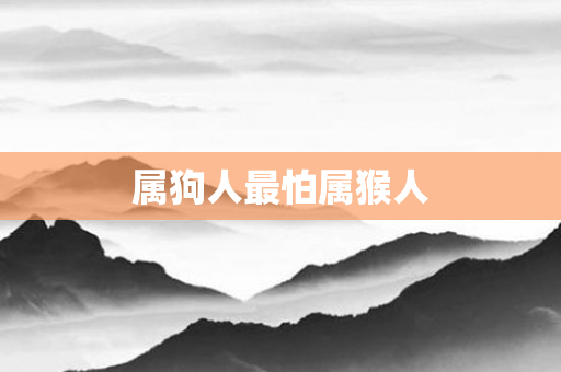 属狗人最怕属猴人