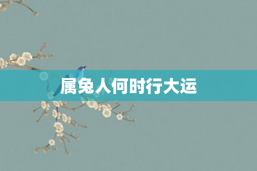 属兔人何时行大运