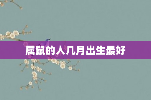 属鼠的人几月出生更好