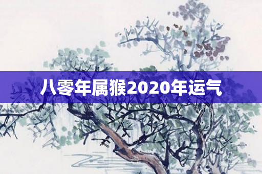 八零年属猴2020年运气