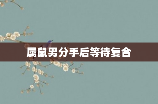 属鼠男分手后等待复合