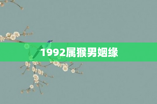 1992属猴男姻缘