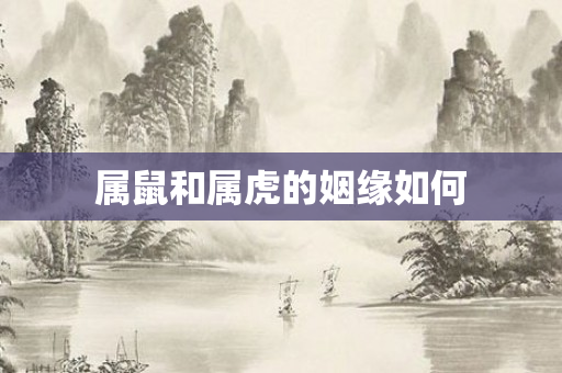 属鼠和属虎的姻缘如何