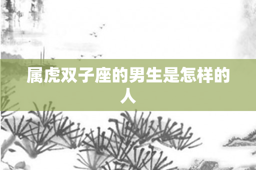 属虎双子座的男生是怎样的人