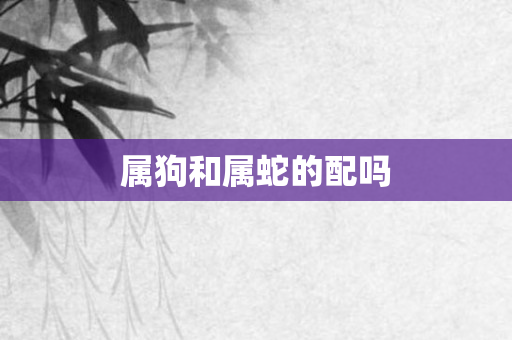 属狗和属蛇的配吗