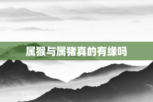 属猴与属猪真的有缘吗
