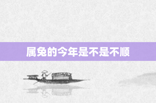 属兔的今年是不是不顺