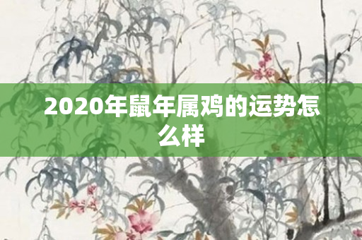 2020年鼠年属鸡的运势怎么样