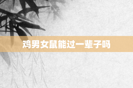 鸡男女鼠能过一辈子吗