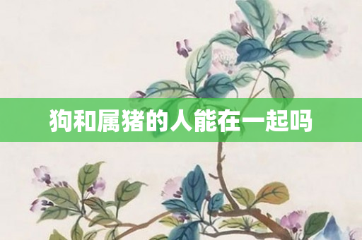 狗和属猪的人能在一起吗