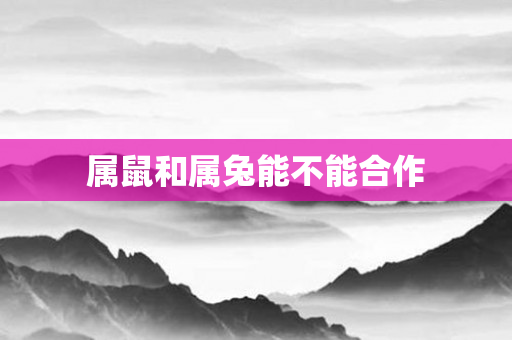 属鼠和属兔能不能合作