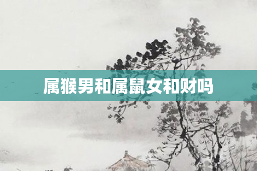 属猴男和属鼠女和财吗