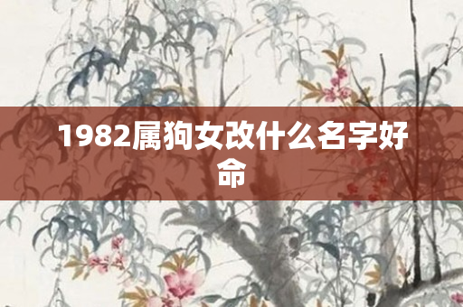 1982属狗女改什么名字好命