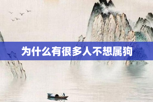 为什么有很多人不想属狗