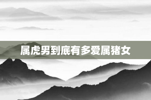 属虎男到底有多爱属猪女