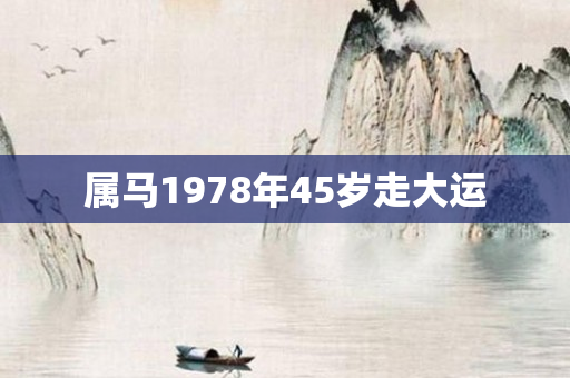 属马1978年45岁走大运