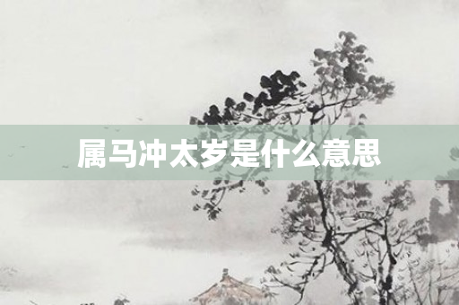 属马冲太岁是什么意思