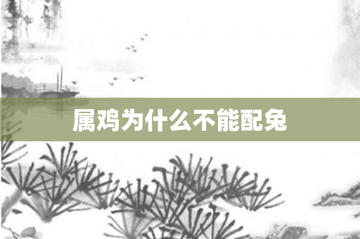 属鸡为什么不能配兔