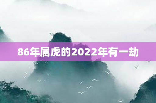 86年属虎的2022年有一劫