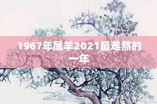 1967年属羊2021最难熬的一年