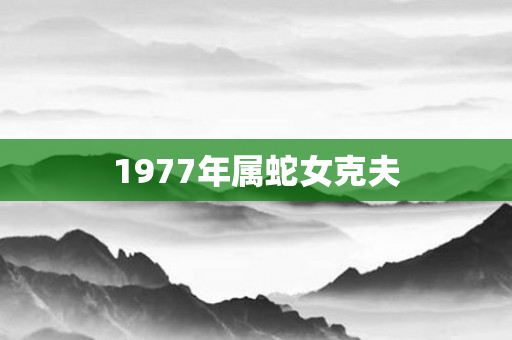 1977年属蛇女克夫