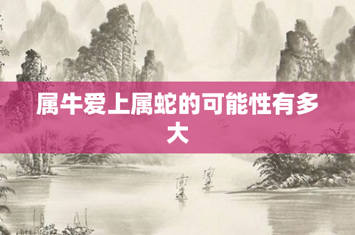 属牛爱上属蛇的可能性有多大