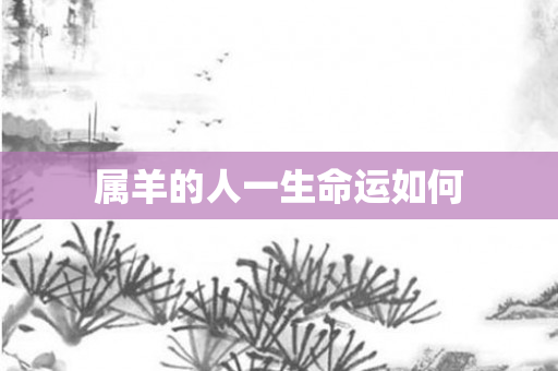属羊的人一生命运如何