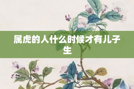 属虎的人什么时候才有儿子生