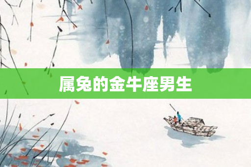 属兔的金牛座男生