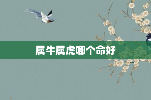 属牛属虎哪个命好