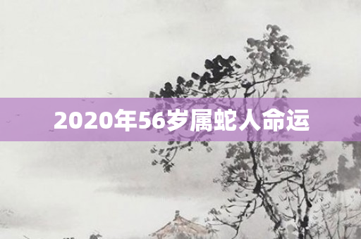 2020年56岁属蛇人命运