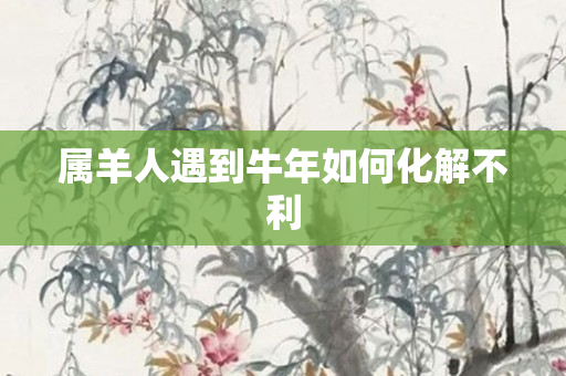 属羊人遇到牛年如何化解不利