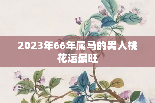 2023年66年属马的男人桃花运最旺